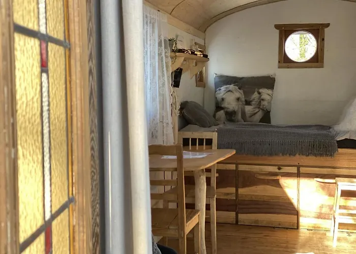 Pipowagen Het Oventje Сasa de vacaciones Zelanda