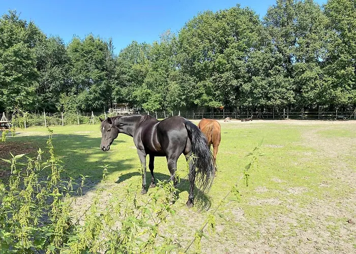 Σπίτι διακοπών Pipowagen Het Oventje