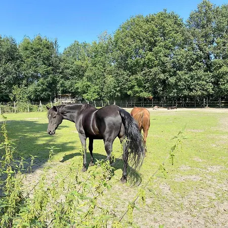 Holiday home Pipowagen Het Oventje